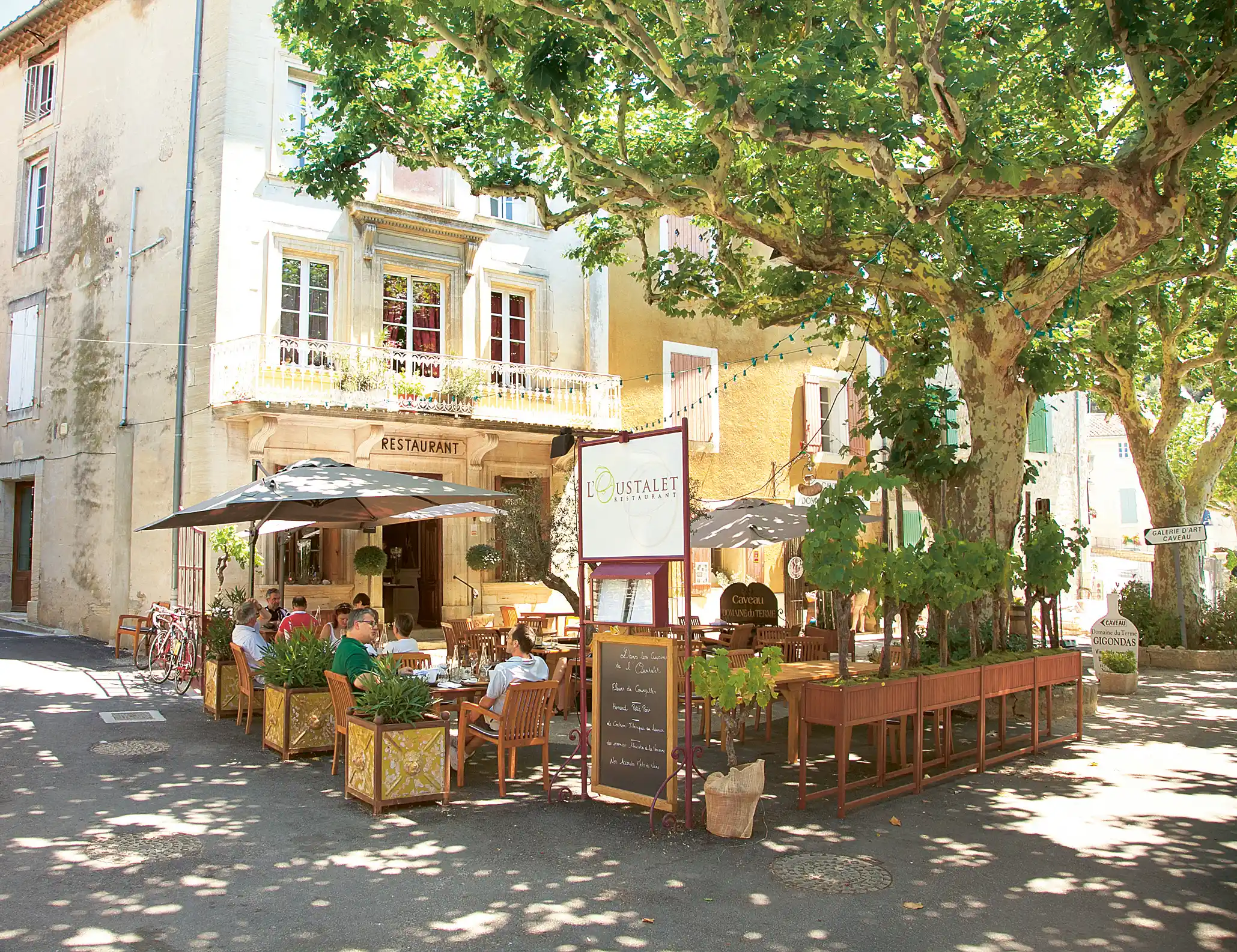 Selection Schwander background image