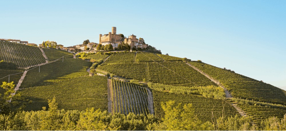 Selection Schwander background image